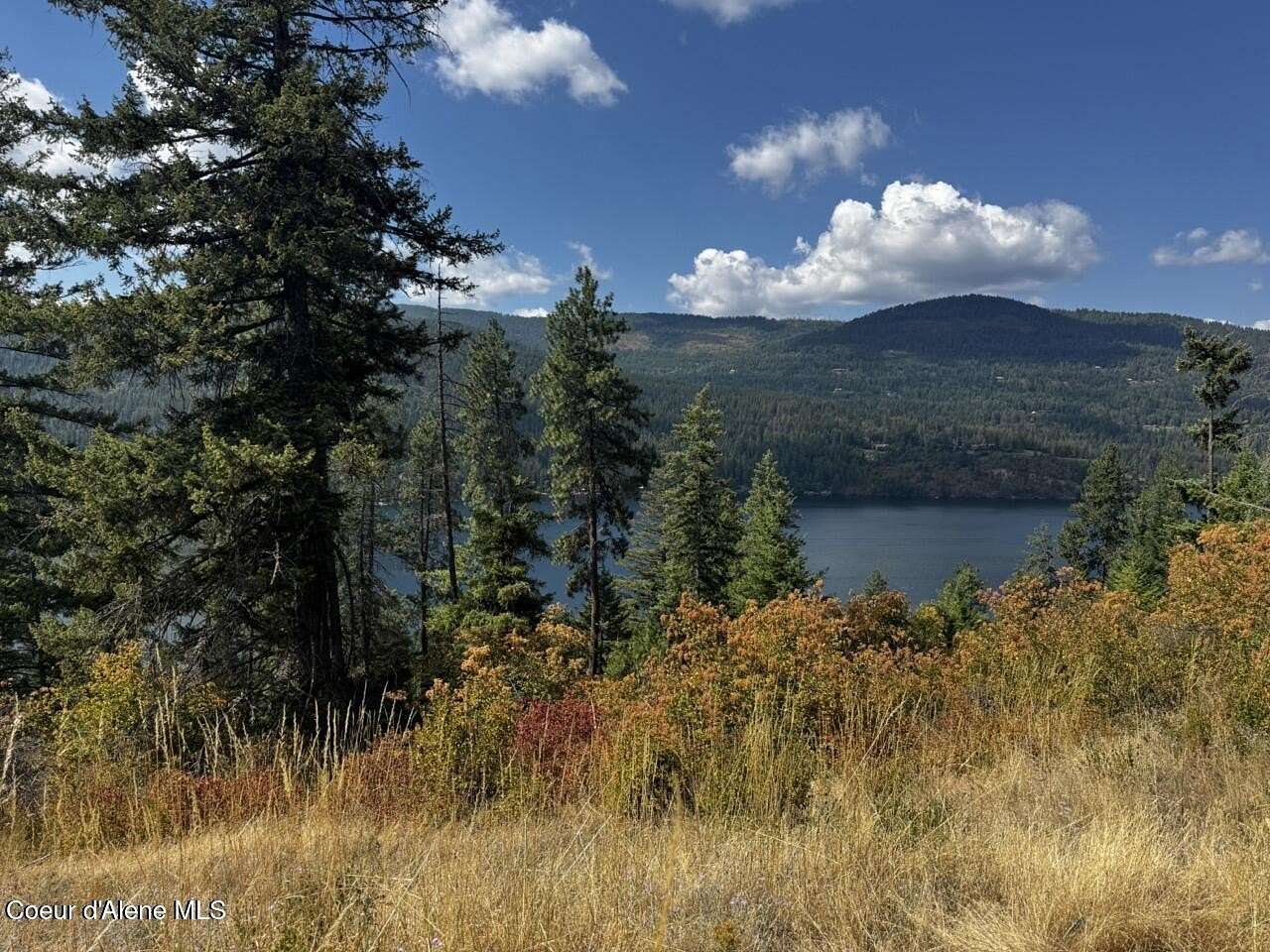 11.8 Acres of Recreational Land for Sale in Sagle, Idaho