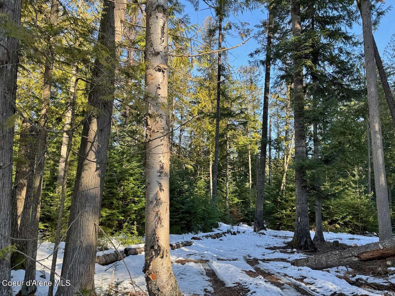 3 Acres of Land for Sale in Sagle, Idaho