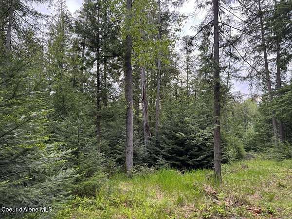 3 Acres of Land for Sale in Sagle, Idaho