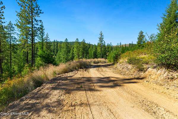 20 Acres of Land for Sale in Blanchard, Idaho