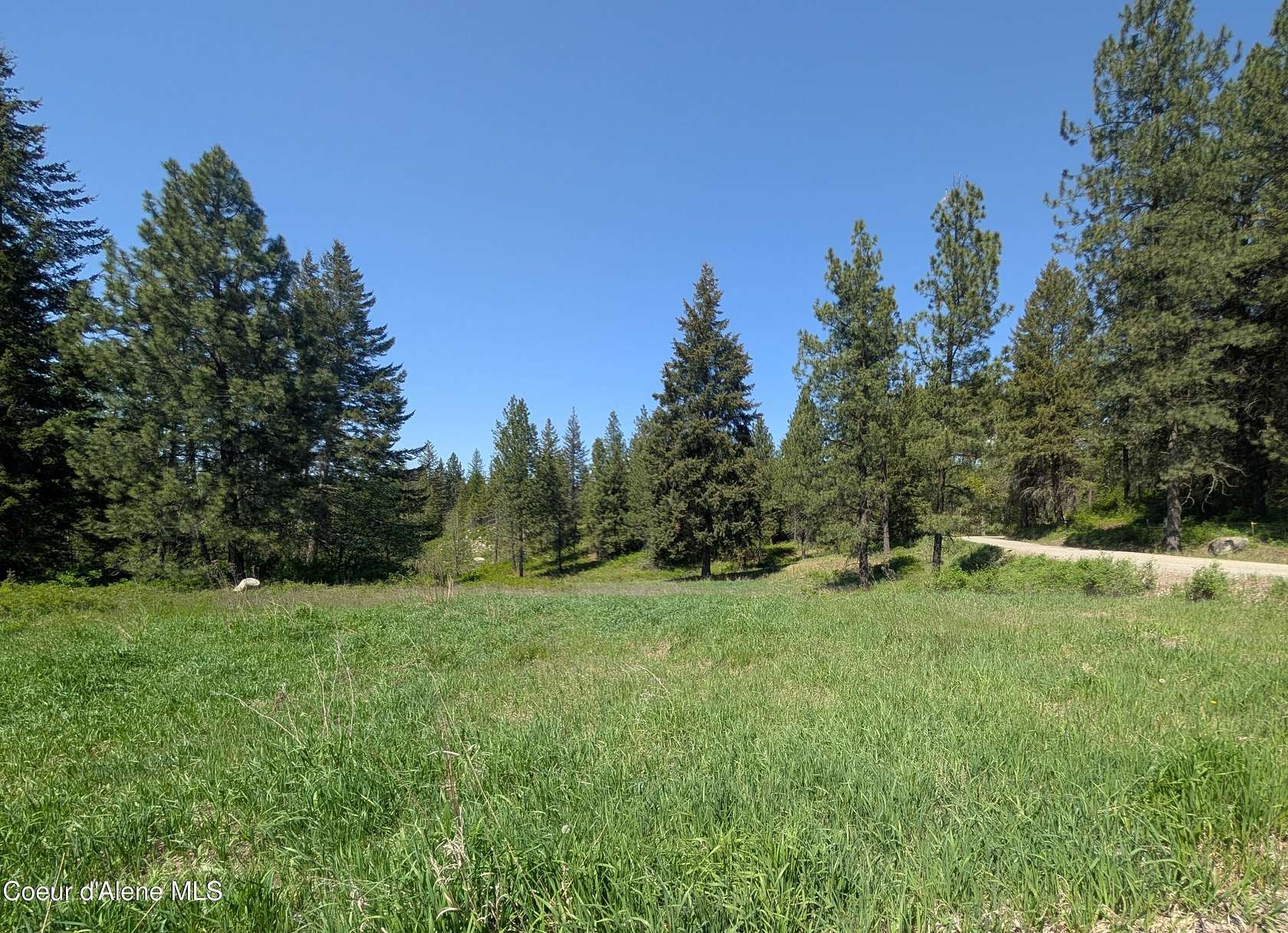 16 Acres of Recreational & Residential Land for Sale in Bonners Ferry, Idaho