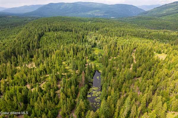50 Acres of Land for Sale in Bonners Ferry, Idaho