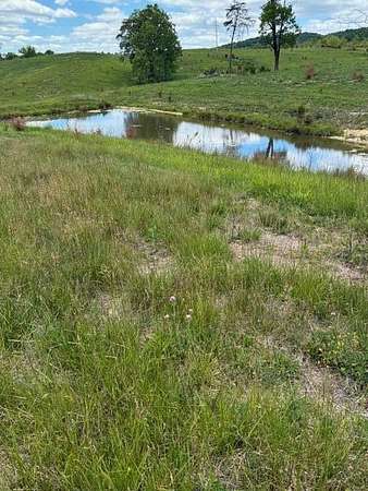 92.2 Acres of Land for Sale in Thorn Hill, Tennessee