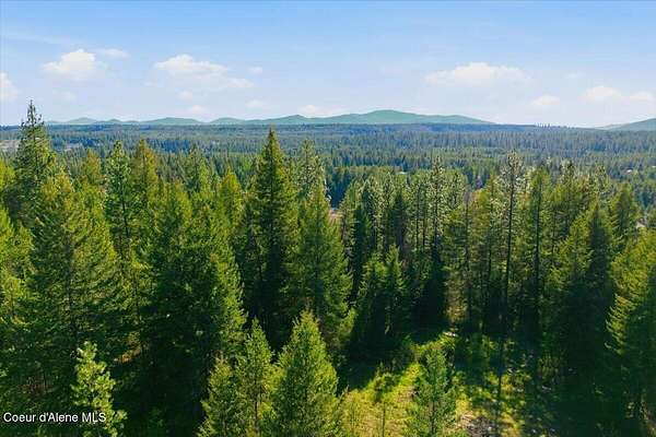10 Acres of Recreational & Residential Land for Sale in Athol, Idaho
