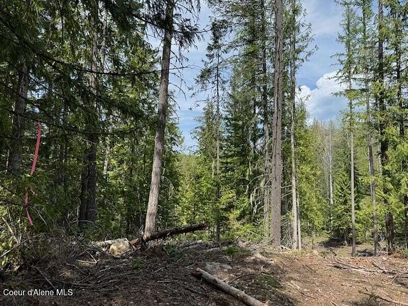 20 Acres of Land for Sale in Sandpoint, Idaho