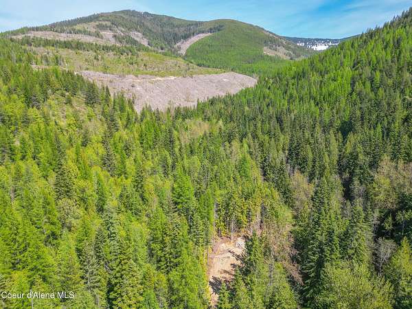 10 Acres of Recreational Land for Sale in Sandpoint, Idaho