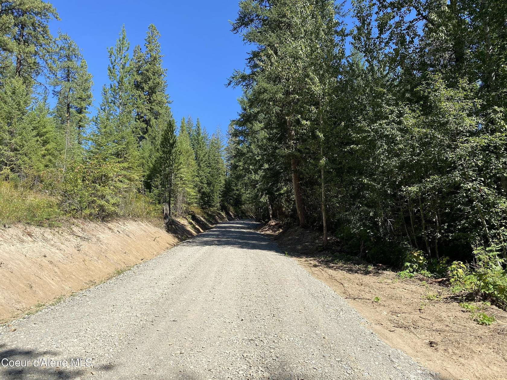 20 Acres of Land for Sale in Blanchard, Idaho