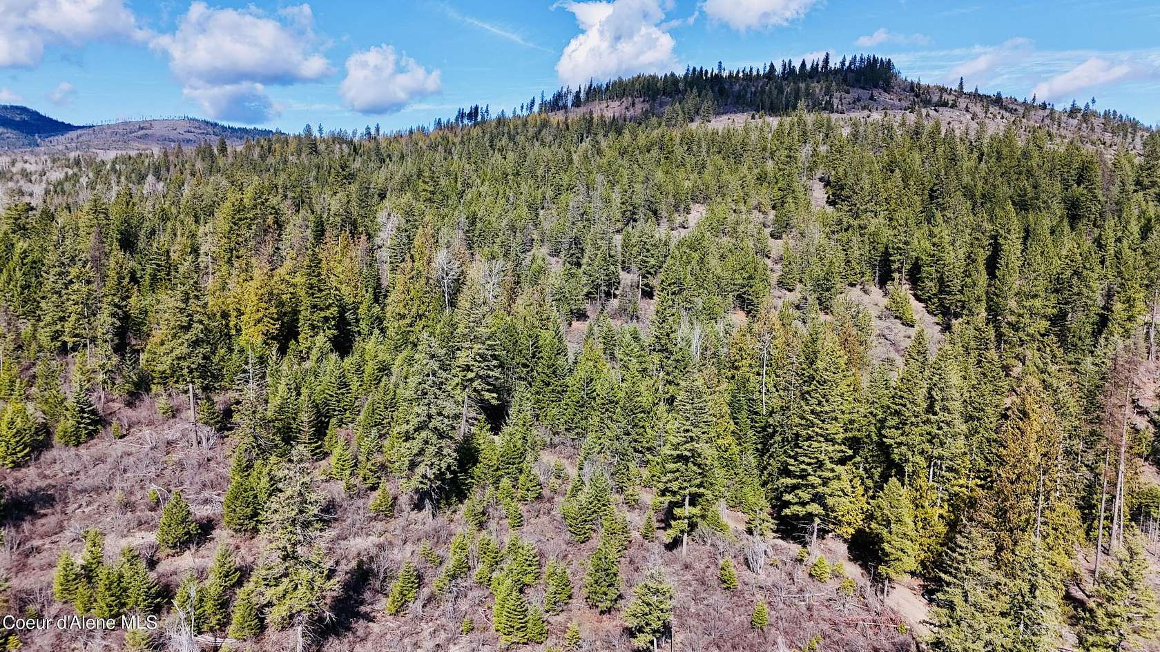 20 Acres of Recreational & Residential Land for Sale in Priest River, Idaho