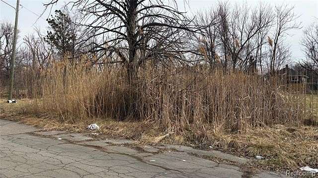 0.07 Acres of Residential Land for Sale in Detroit, Michigan