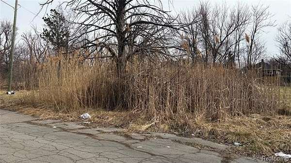 0.07 Acres of Residential Land for Sale in Detroit, Michigan