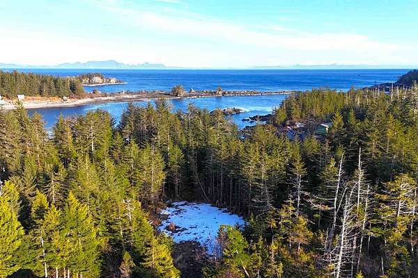 1 Acre of Mixed-Use Land for Sale in Port Alexander, Alaska