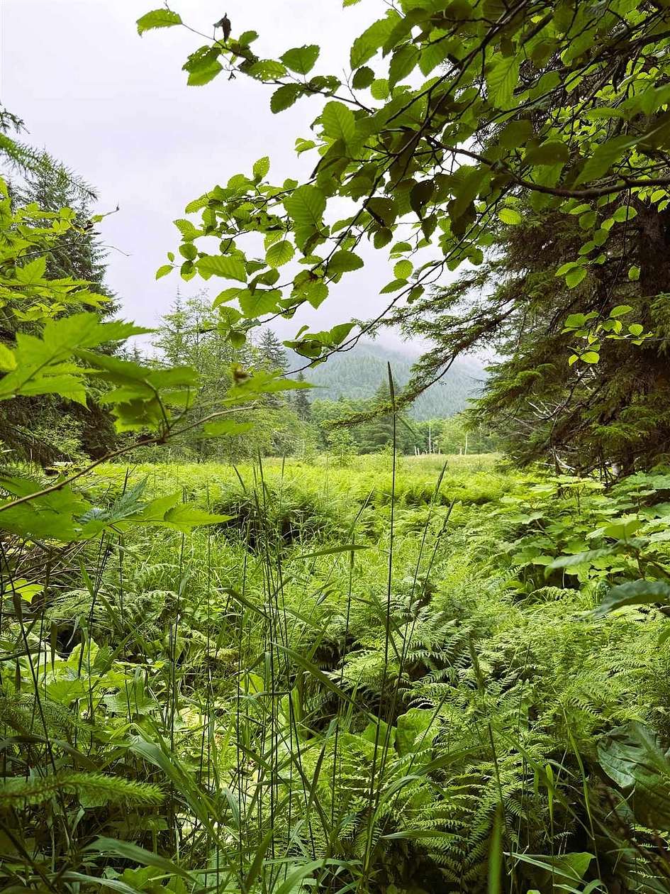 134 Acres of Land for Sale in Hoonah, Alaska