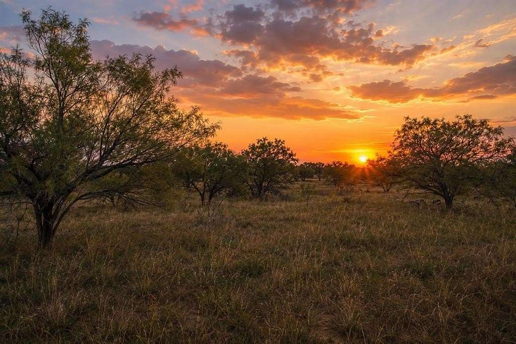 13.4 Acres of Recreational & Residential Land for Sale in Abilene, Texas