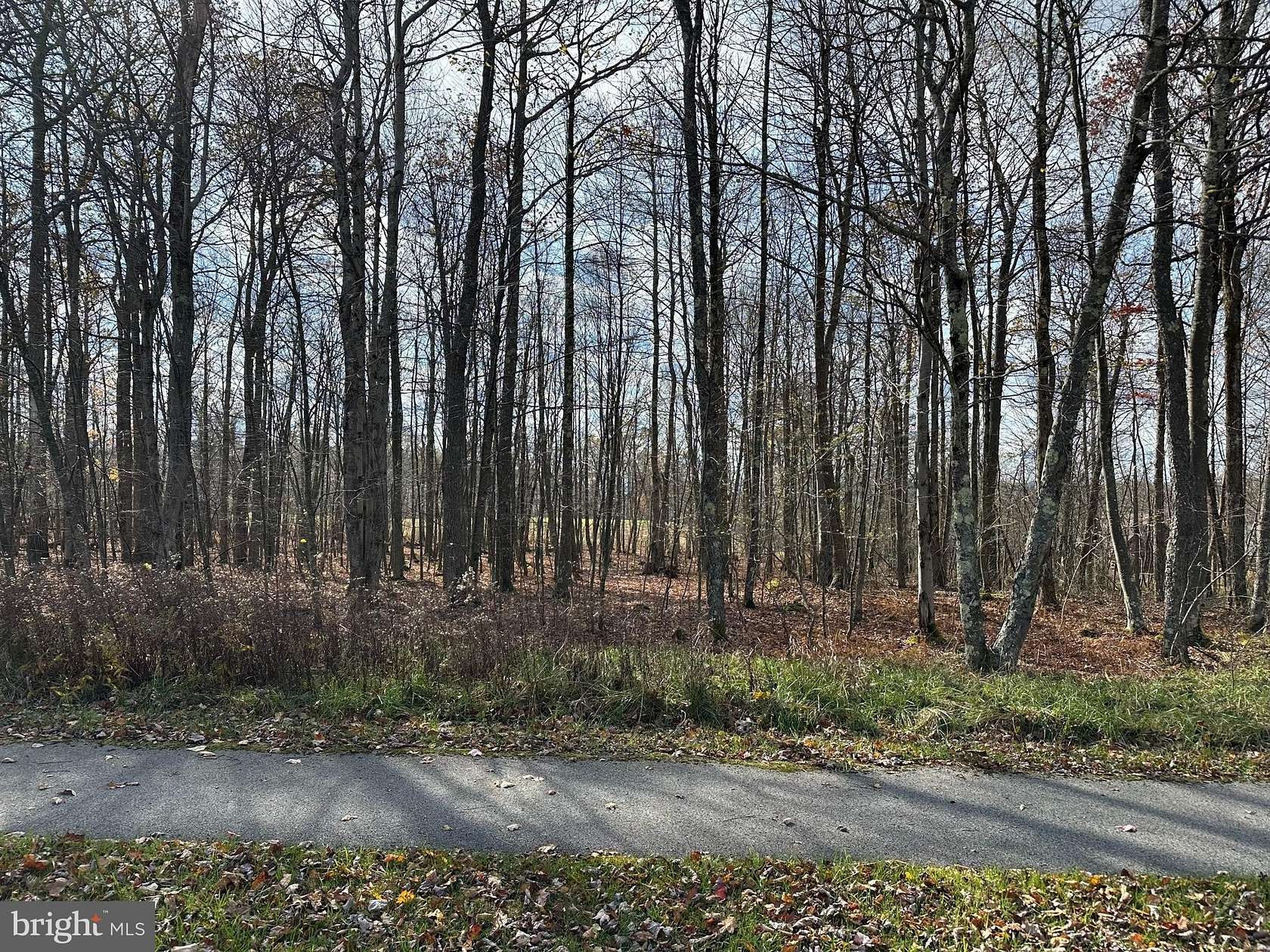 0.57 Acres of Land for Sale in McHenry, Maryland
