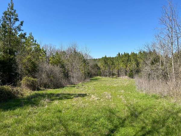 160 Acres of Recreational Land for Sale in Nettleton, Mississippi