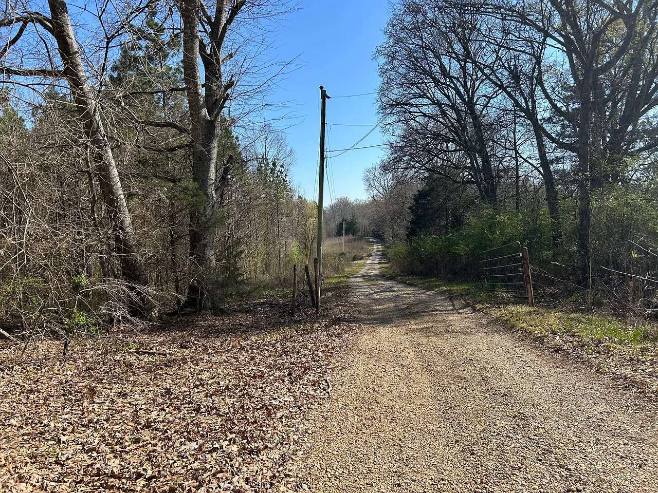 80 Acres of Recreational Land for Sale in Nettleton, Mississippi