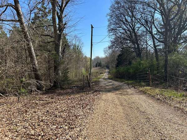 80 Acres of Recreational Land for Sale in Nettleton, Mississippi