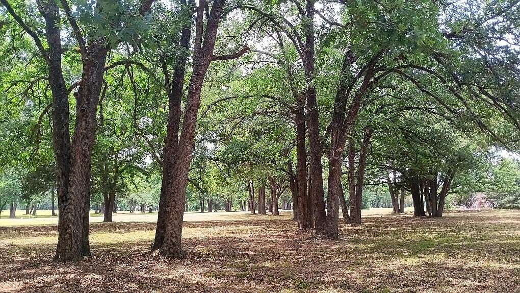 2 Acres of Residential Land for Sale in Corsicana, Texas