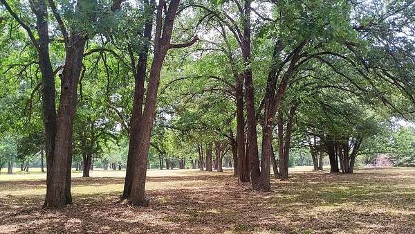 2 Acres of Residential Land for Sale in Corsicana, Texas