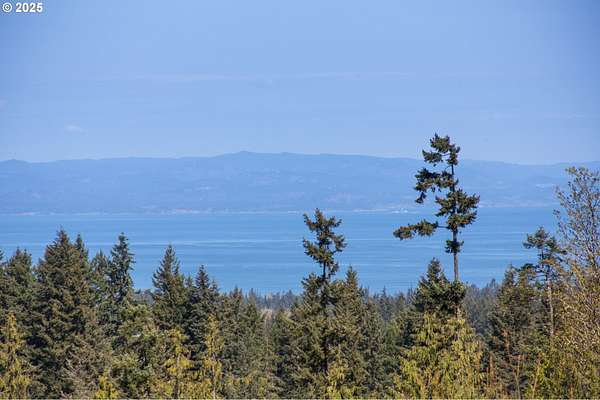 5 Acres of Land for Sale in Port Angeles, Washington