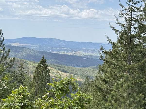 17.4 Acres of Recreational & Residential Land for Sale in Post Falls, Idaho