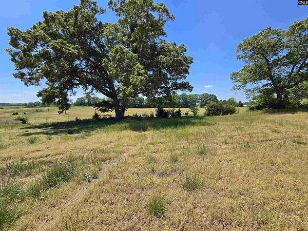 254 Acres of Improved Agricultural Land for Sale in Jonesville, South Carolina