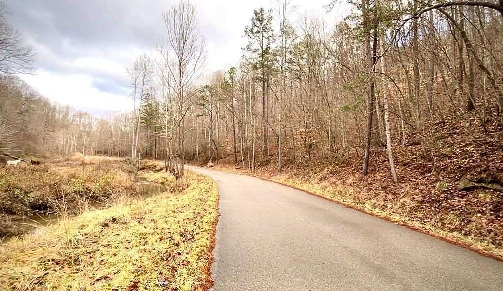 81 Acres of Recreational & Residential Land for Sale in Salyersville, Kentucky
