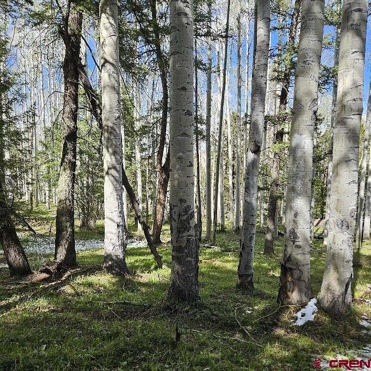 1 Acre of Land for Sale in Cimarron, Colorado