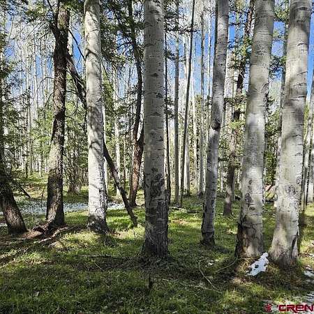 1 Acre of Land for Sale in Cimarron, Colorado