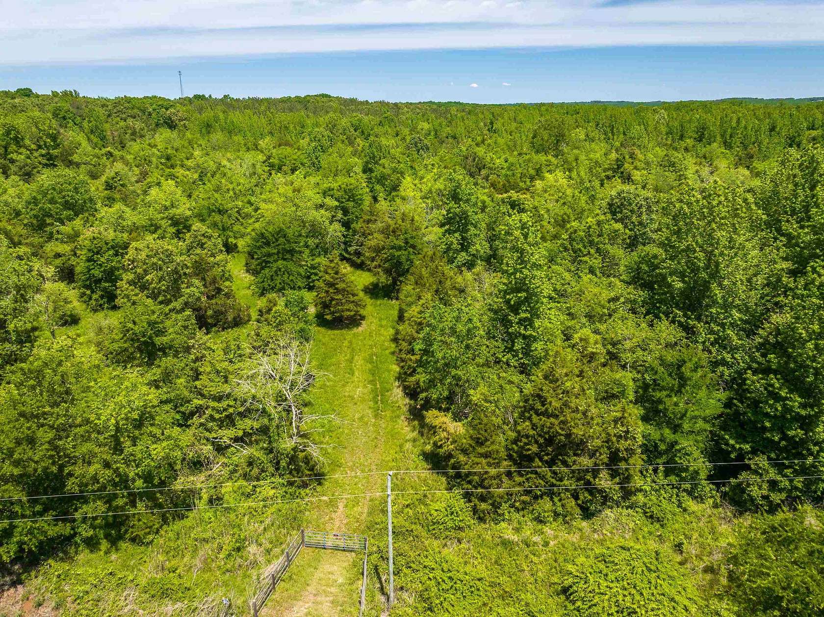 62.9 Acres of Land for Sale in Finger, Tennessee