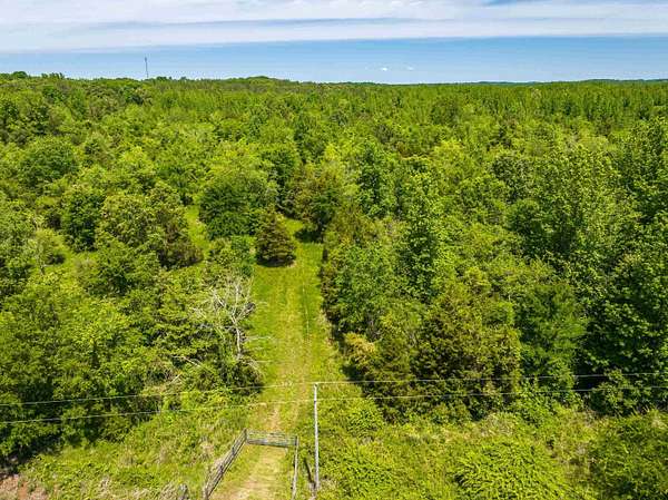 62.9 Acres of Land for Sale in Finger, Tennessee