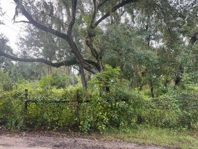 2.3 Acres of Residential Land for Sale in Hawthorne, Florida