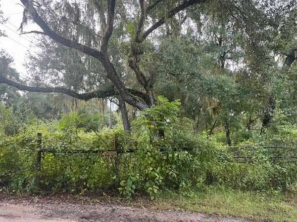 2.3 Acres of Residential Land for Sale in Hawthorne, Florida
