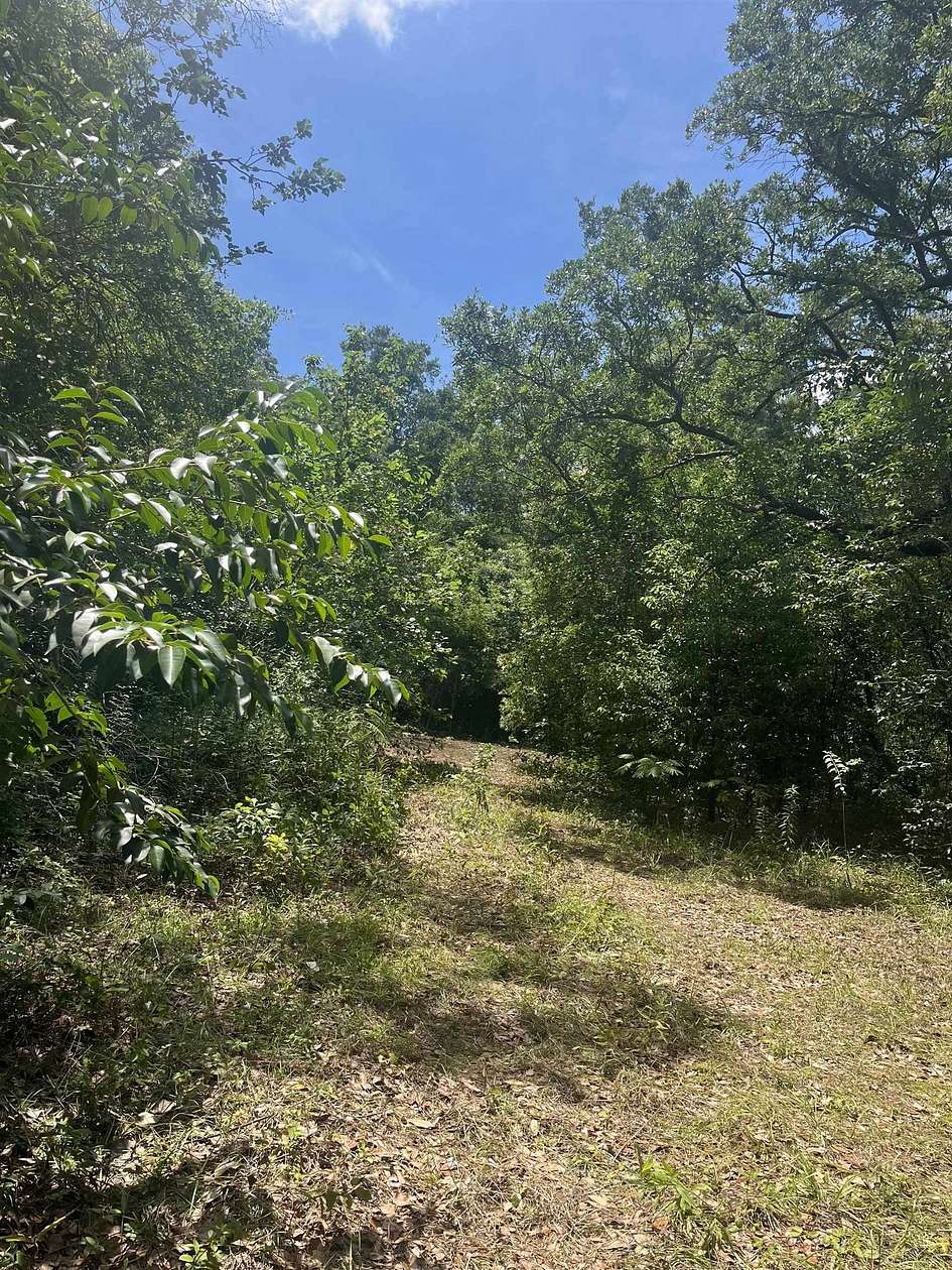 1 Acre of Residential Land for Sale in Tallahassee, Florida