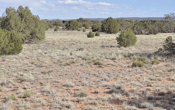 36.7 Acres of Land for Sale in Concho, Arizona
