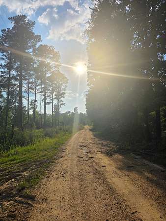 36.5 Acres of Recreational Land for Sale in Roxie, Mississippi