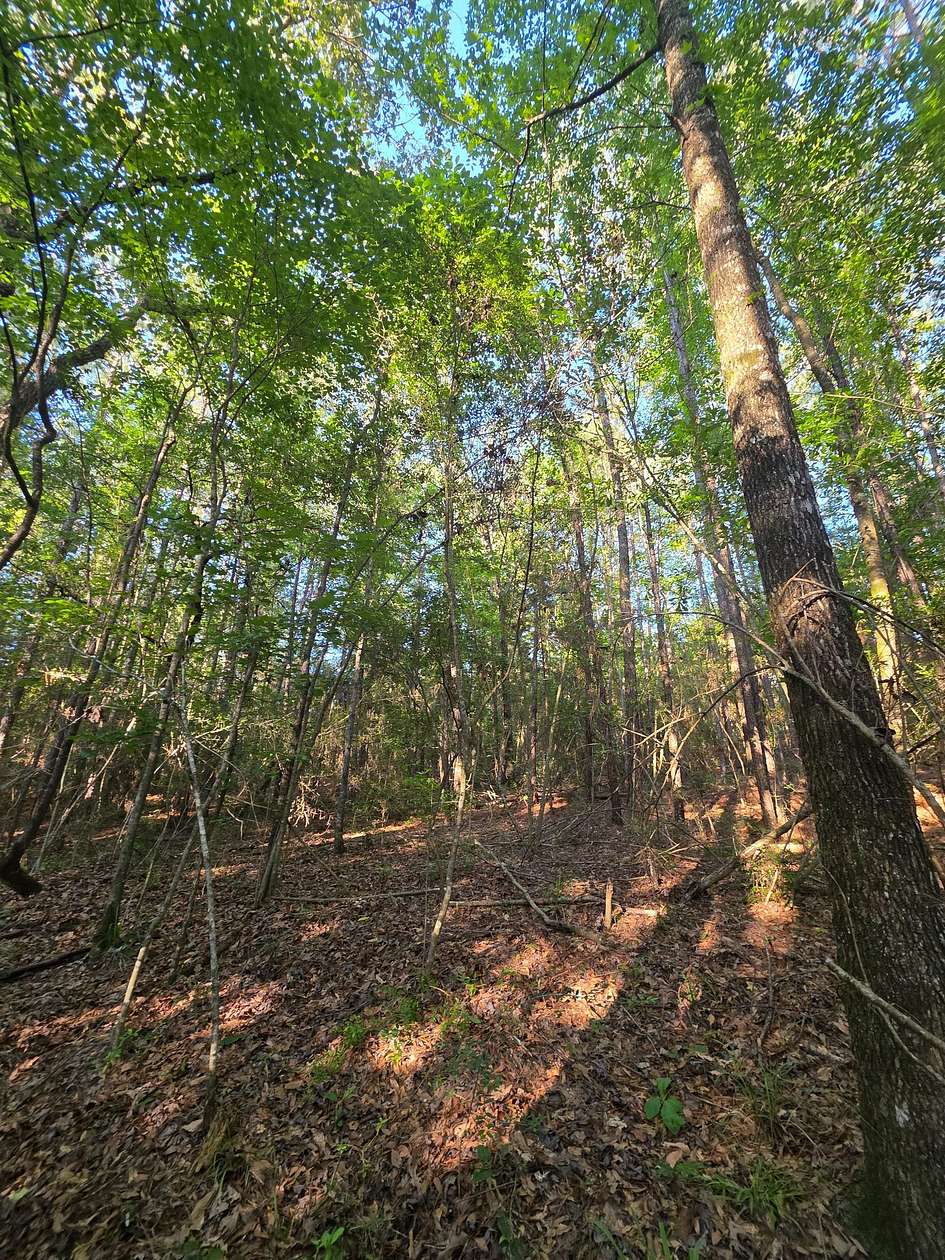 14.5 Acres of Recreational Land for Sale in Prentiss, Mississippi