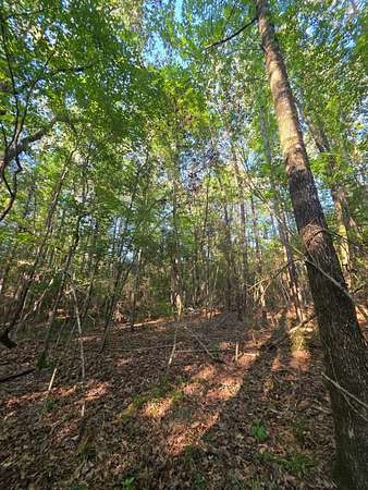 14.5 Acres of Recreational Land for Sale in Prentiss, Mississippi