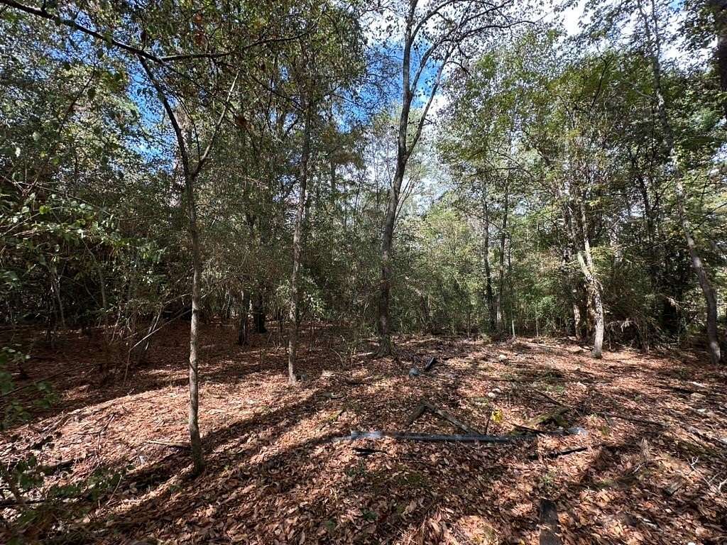 1.17 Acres of Residential Land for Sale in Diboll, Texas