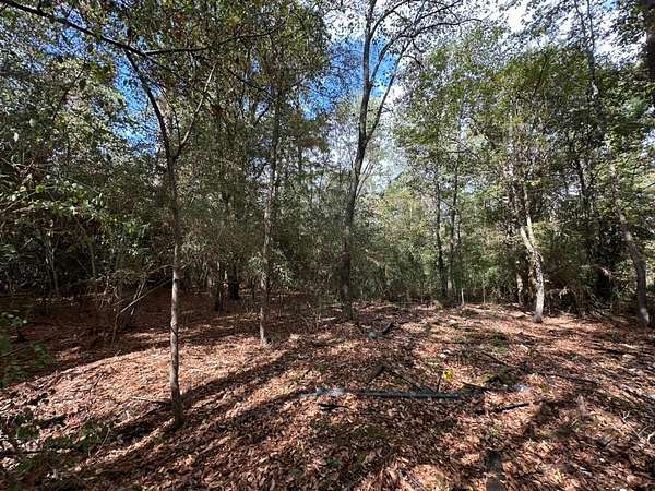 1.17 Acres of Residential Land for Sale in Diboll, Texas