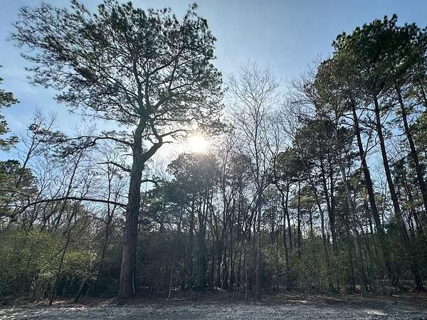 1.17 Acres of Residential Land for Sale in Diboll, Texas