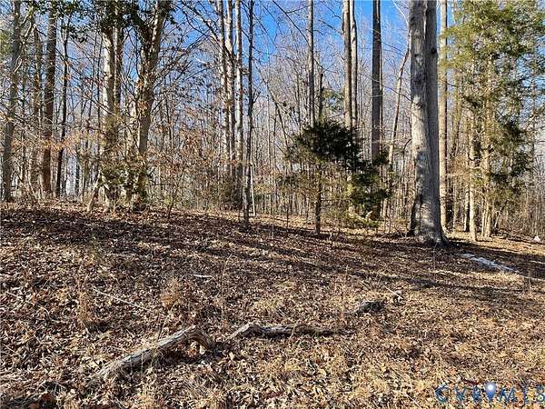0.22 Acres of Residential Land for Sale in Ruther Glen, Virginia