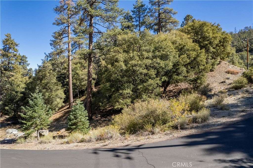 0.33 Acres of Land for Sale in Pine Mountain Club, California