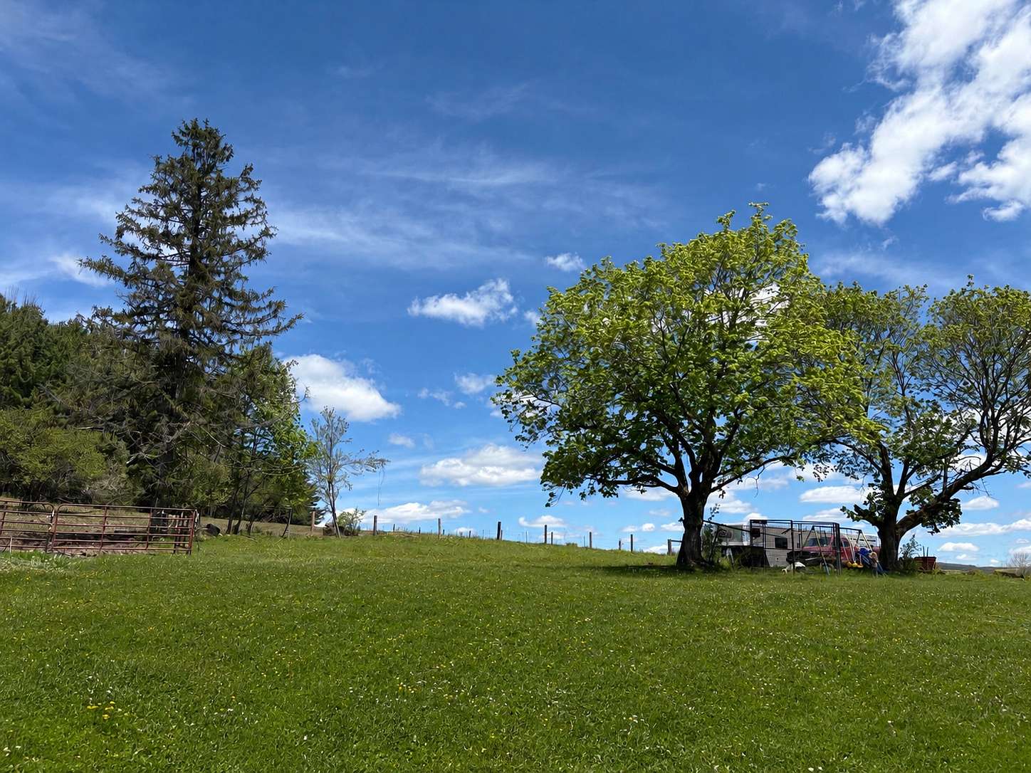 40 Acres of Recreational Land with Home for Sale in Scio, New York