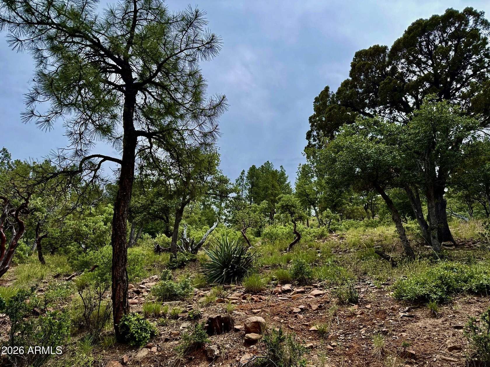 0.22 Acres of Residential Land for Sale in Pine, Arizona