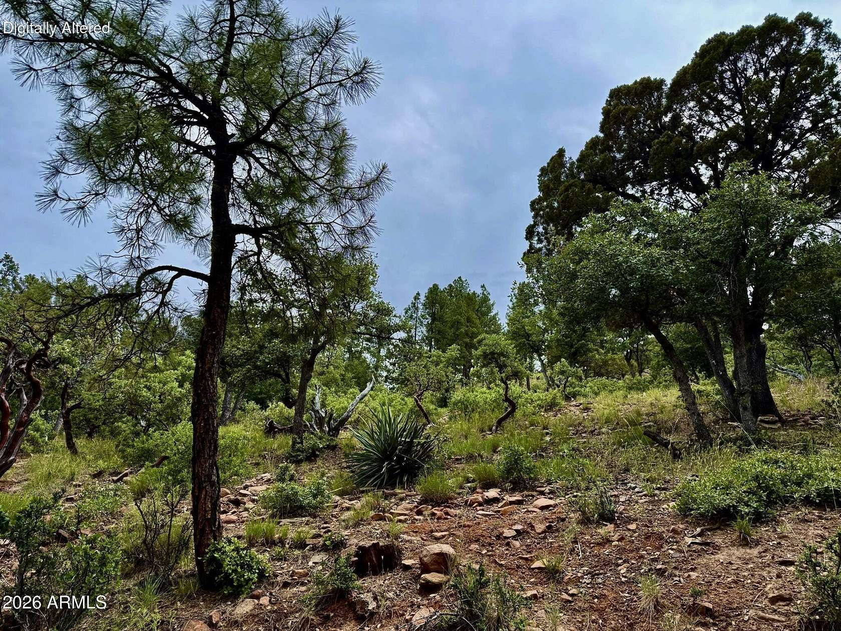 0.22 Acres of Residential Land for Sale in Pine, Arizona