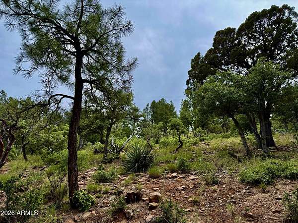 0.22 Acres of Residential Land for Sale in Pine, Arizona