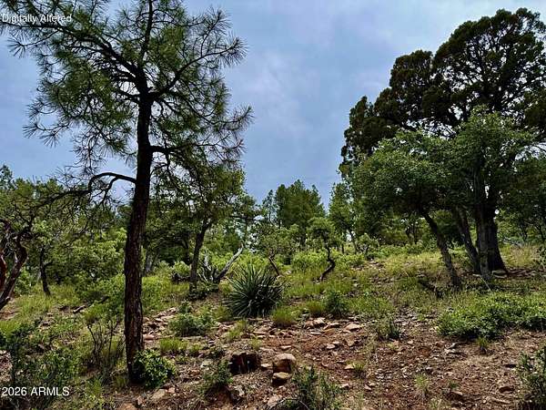 0.22 Acres of Residential Land for Sale in Pine, Arizona