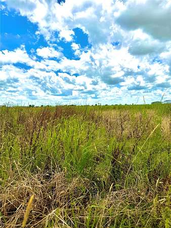 11 Acres of Land for Sale in Eagle Lake, Texas