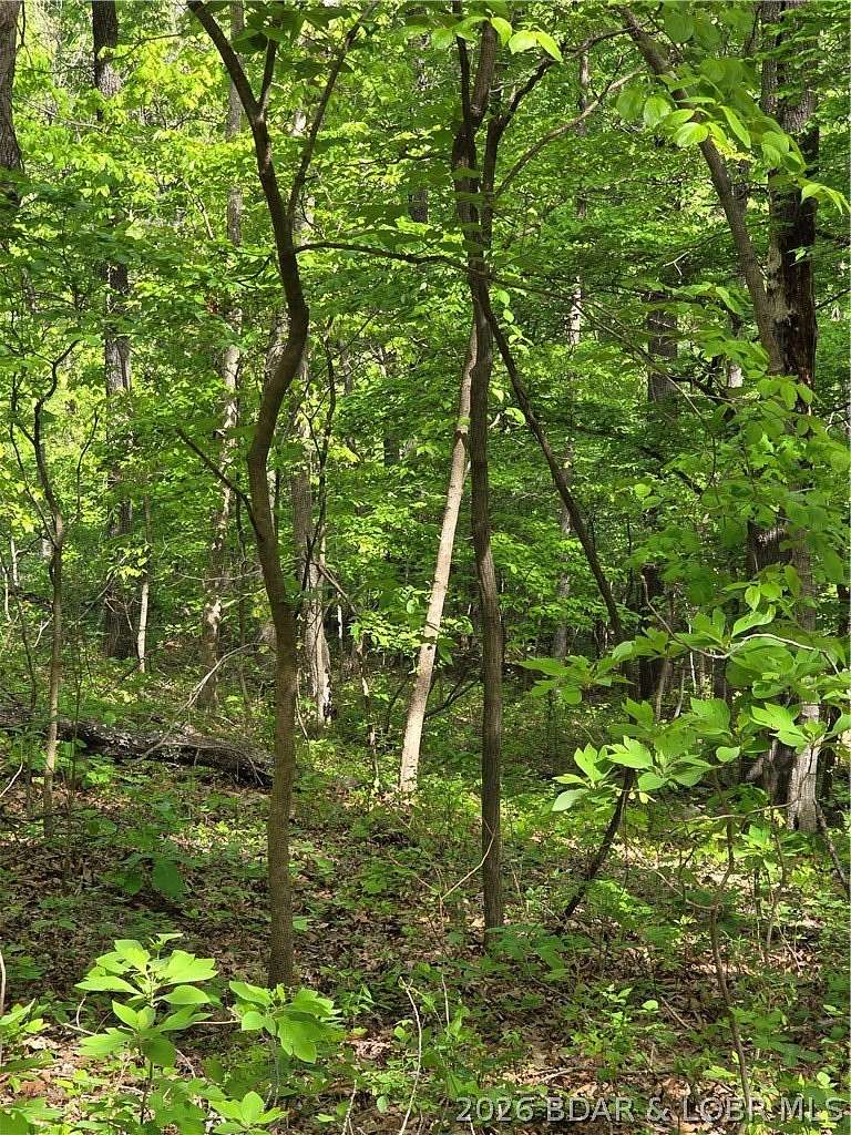 4.82 Acres of Residential Land for Sale in Stover, Missouri
